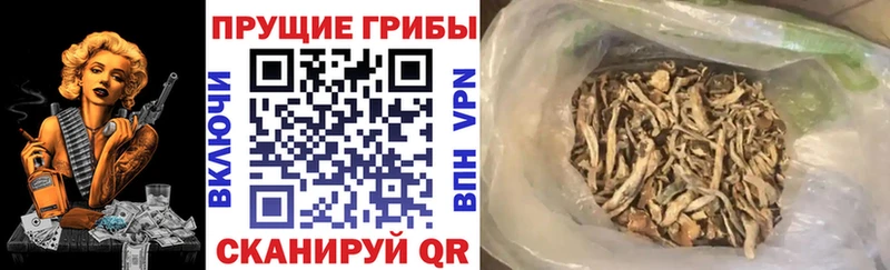 Псилоцибиновые грибы MAGIC MUSHROOMS  Коряжма 