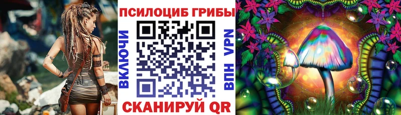 Галлюциногенные грибы Psilocybe Коряжма