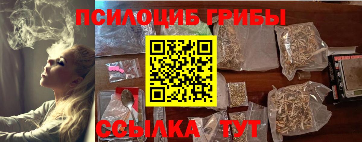 Галлюциногенные грибы прущие грибы Коряжма