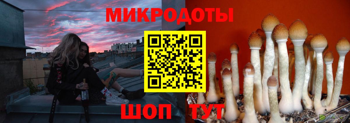 Коряжма  Псилоцибиновые грибы MAGIC MUSHROOMS  Псилоцибиновые грибы Psilocybine cubensis  Вход с VPN 