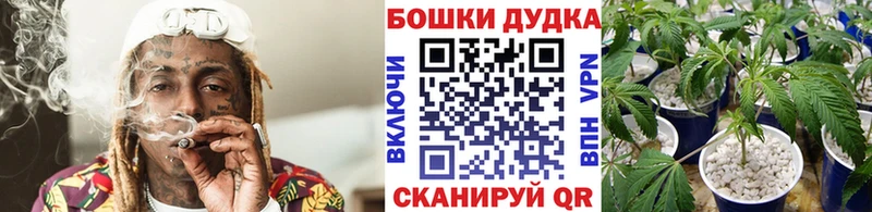 Бошки Шишки Bruce Banner  купить наркотики сайты  Коряжма 